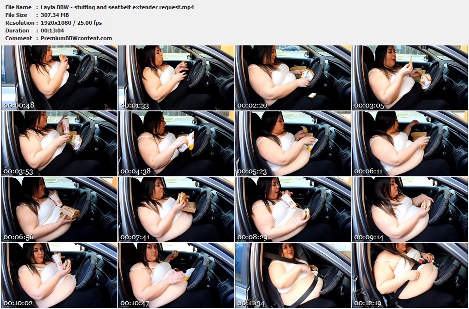 Layla BBW - stuffing and seatbelt extender request thumbnails