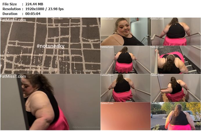 fatmisstssbbw_27-12-2021_2313058194_Sorry for the shakey camera, but it's a struggle just to get down stairs.. 224.4  MB mp4