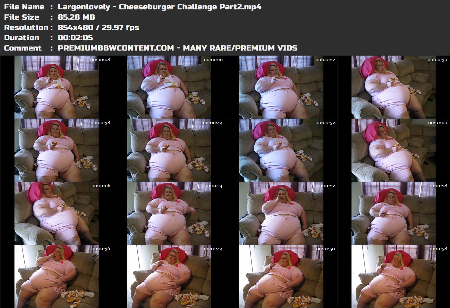Largenlovely - Cheeseburger Challenge Part2 thumbnails