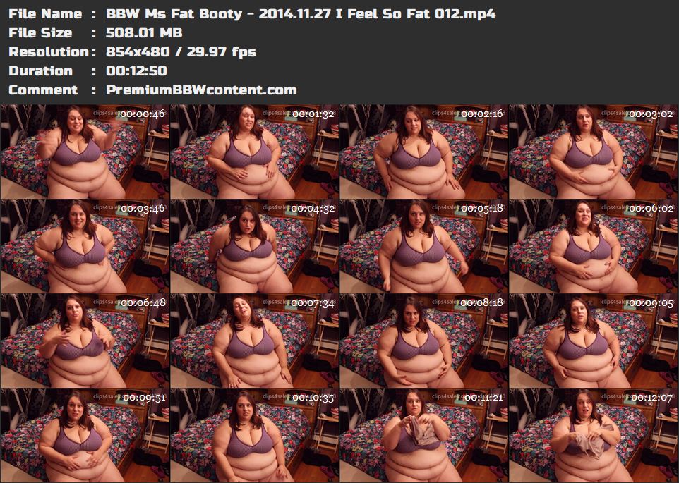 BBW Ms Fat Booty - 2014.11.27 I Feel So Fat 012 thumbnails