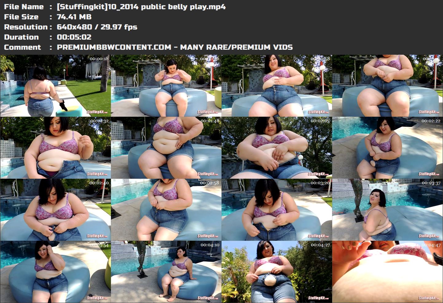 [Stuffingkit]10_2014 public belly play thumbnails